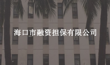 ?？谑腥谫Y擔保有限公司